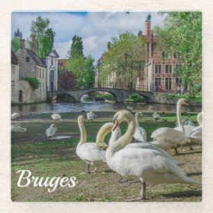 White swans in Bruges downtown Glass Coaster