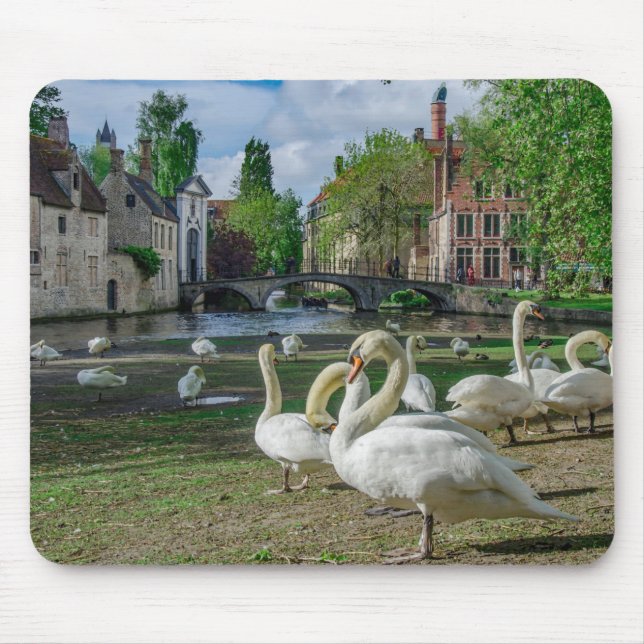 White swans in Bruges downtown Mouse Pad (Front)