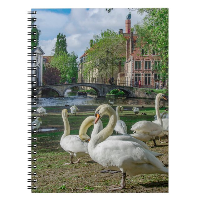 White swans in Bruges downtown Notebook (Front)