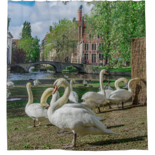 White swans in Bruges downtown Shower Curtain