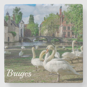 White swans in Bruges downtown Stone Coaster