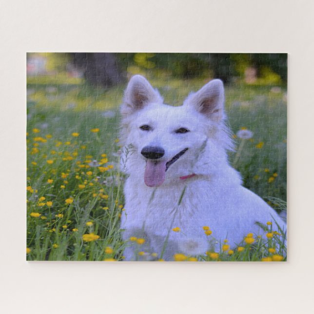 White Swiss Shepherd Dog Jigsaws. Jigsaw Puzzle (Horizontal)