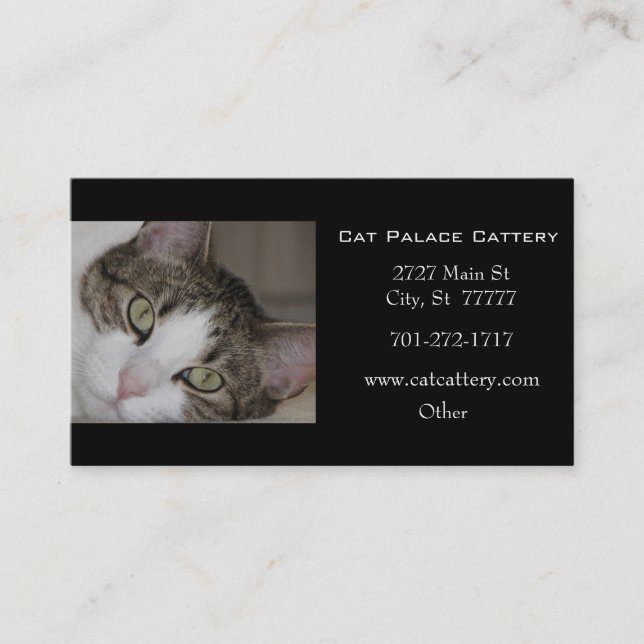 White Tabby Cat Business Card (Front)