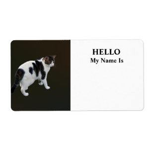 White Tabby With Dark Patches