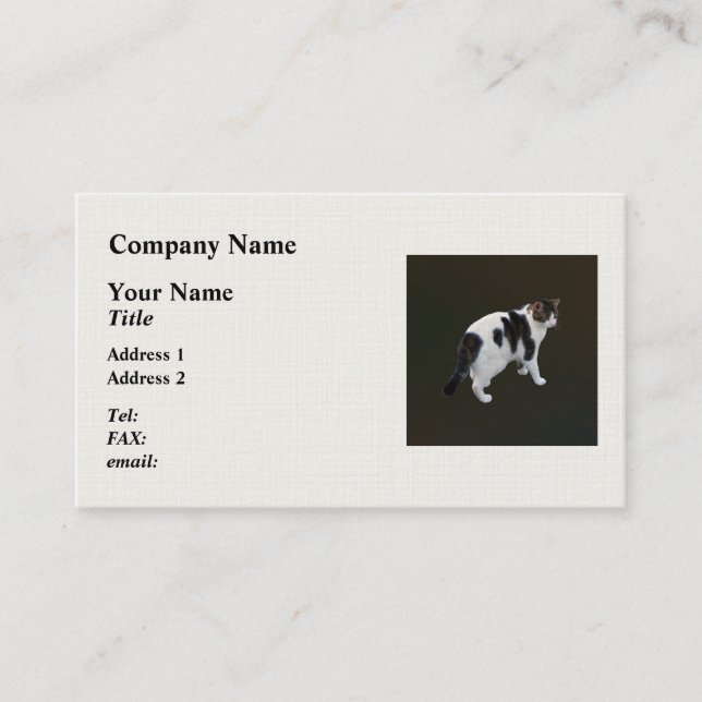 White Tabby With Dark Patches Business Card (Front)