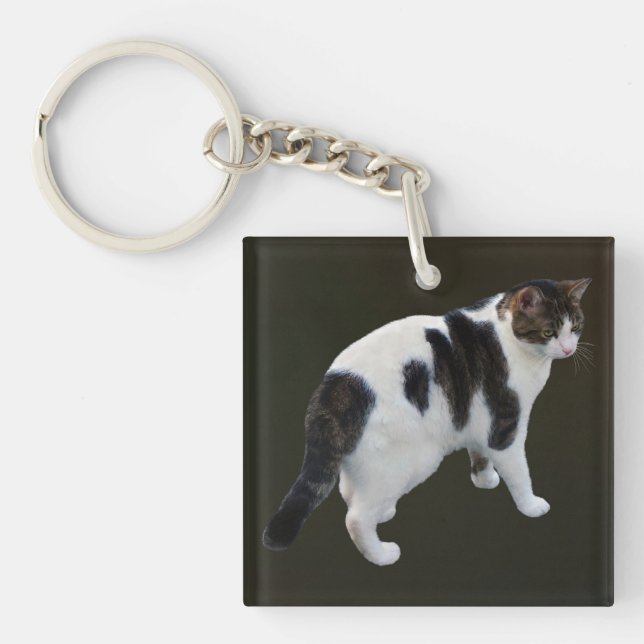 White Tabby With Dark Patches Key Ring (Front)