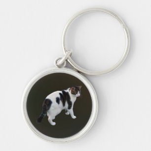 White Tabby With Dark Patches Key Ring