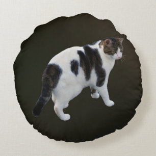 White Tabby With Dark Patches Round Cushion
