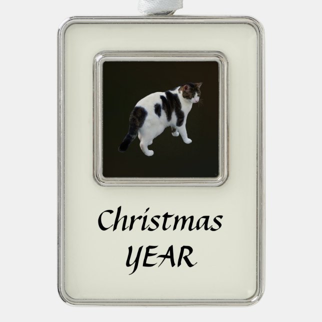 White Tabby With Dark Patches Silver Plated Framed Ornament (Front)