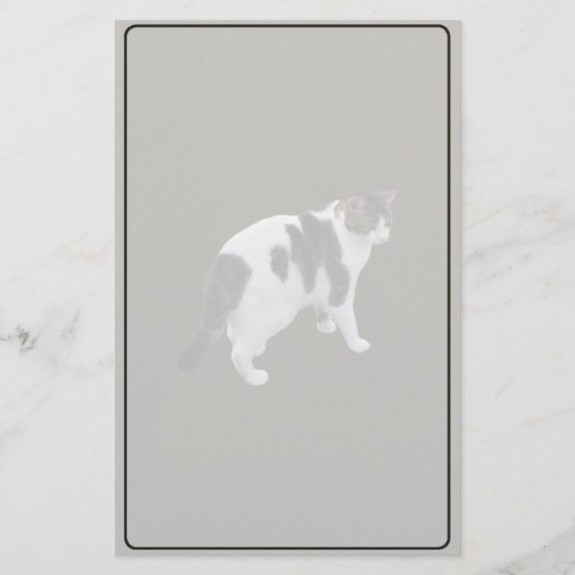 White Tabby With Dark Patches Stationery (Front)