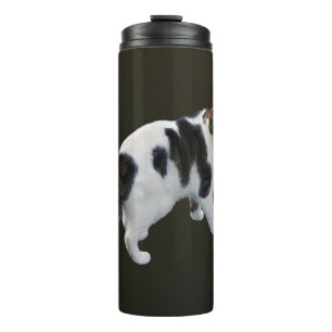 White Tabby With Dark Patches Thermal Tumbler