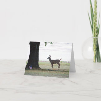 White tail and Flag  Card