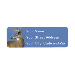 White Tail Buck