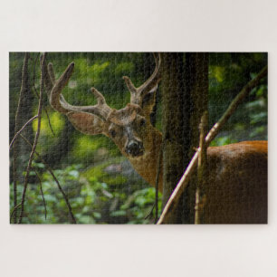 White Tail Buck Jigsaw Puzzle