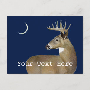 White Tail Buck Postcard