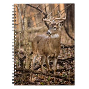 White Tail Deer Buck Notebook