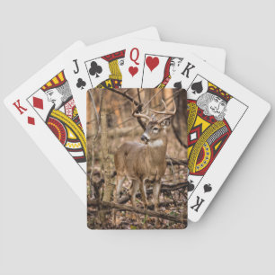 White Tail Deer Buck Playing Cards