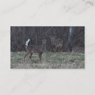 White Tail Deer Business Cards