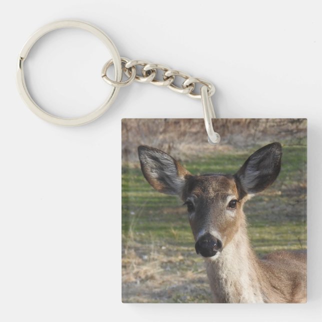 White Tail Deer Close Up Key Ring (Front)