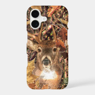 White Tail Deer Head Fall Energy Spirited on a