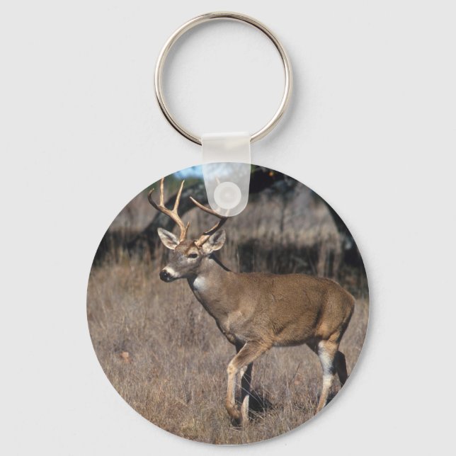 White Tail Deer Key Ring (Front)