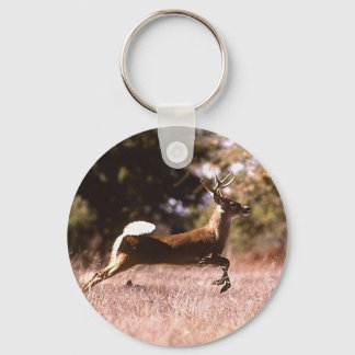 White-Tail Deer Running Key Ring