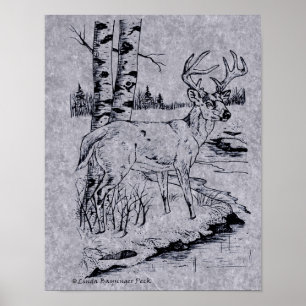 White Tailed Buck Deer Ink Drawing Creek Poster