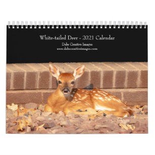 White-tailed deer 2021 Calendar