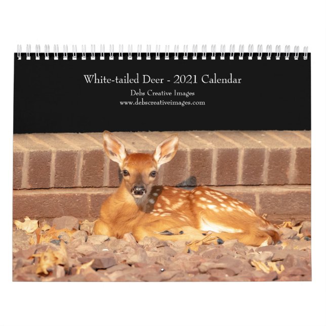 White-tailed deer 2021 Calendar (Cover)