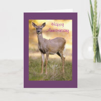 White-tailed Deer, Anniversary