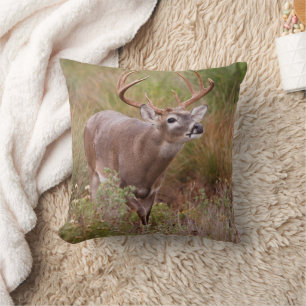 White-tailed Deer Autumn in Texas Cushion