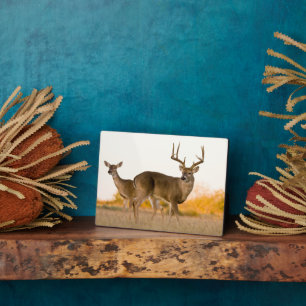 White-tailed Deer Autumn in Texas Plaque