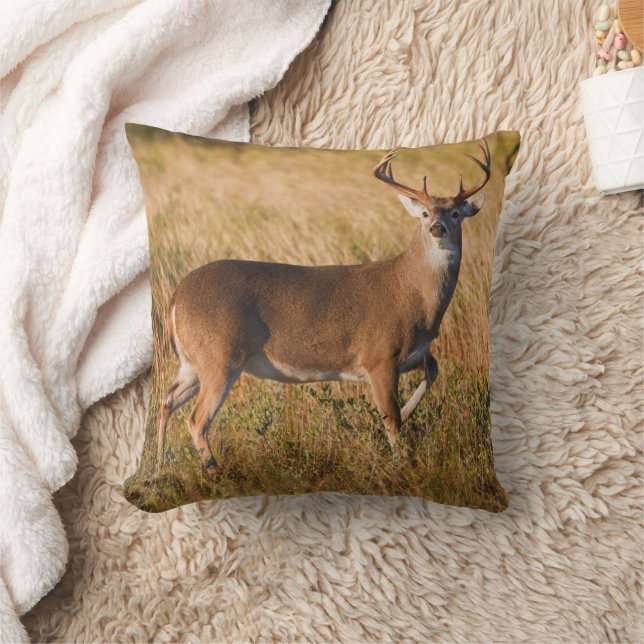 White-tailed Deer | Autumn in TX Cushion (Blanket)