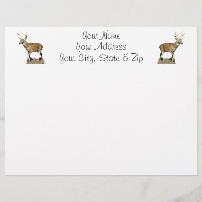White Tailed Deer Buck (Front)