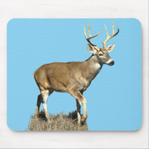 White Tailed Deer Buck Mouse Pad