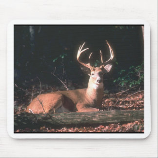 White Tailed Deer Buck Photo Mouse Pad