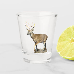 White Tailed Deer Buck Shot Glass