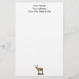 White Tailed Deer Buck Stationery