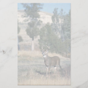 White-tailed deer buck stationery
