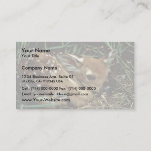White-tailed Deer Business Card