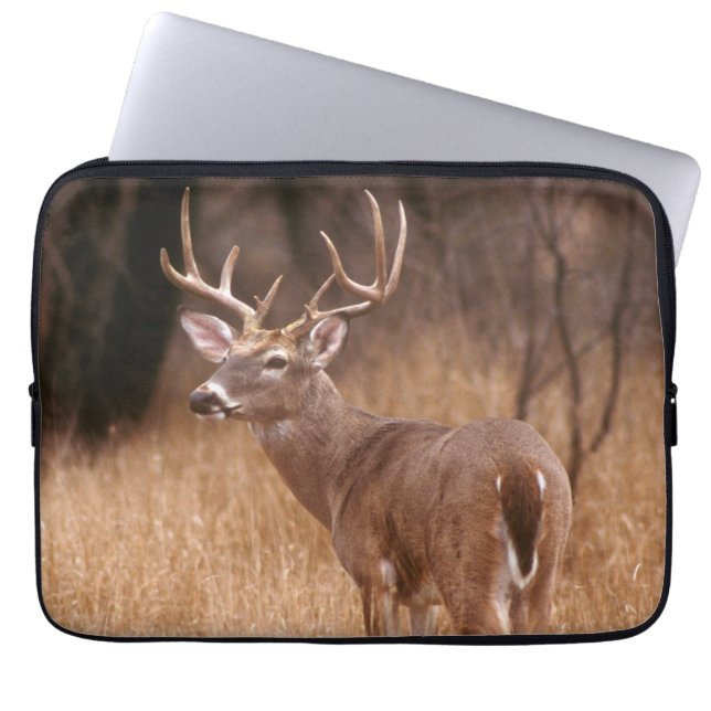 White Tailed Deer |  Choke Canyon State Park, TX Laptop Sleeve (Front)