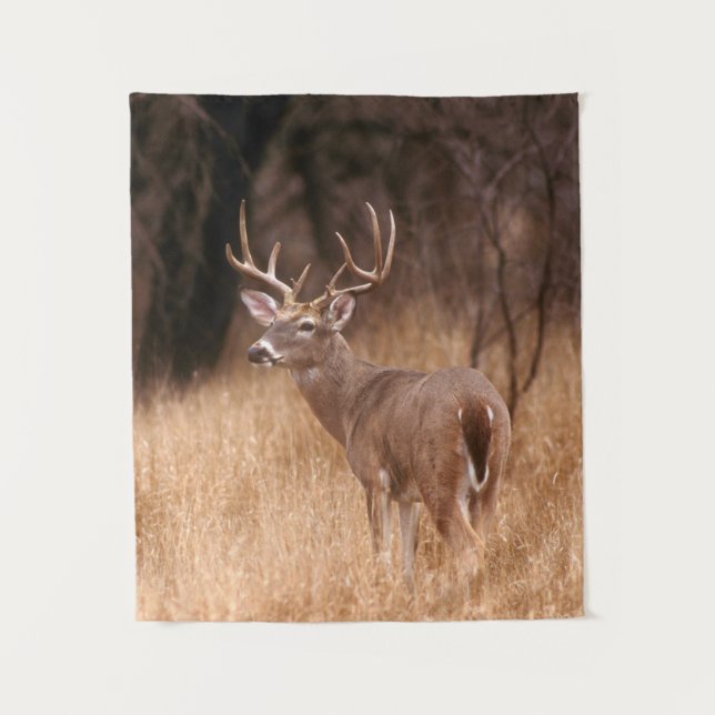 White Tailed Deer |  Choke Canyon State Park, TX Tapestry (Front)