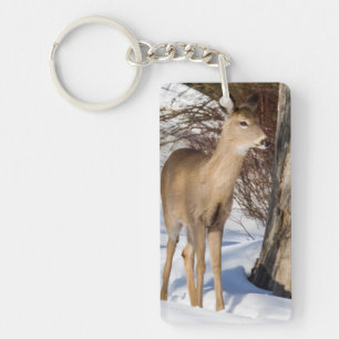 White-tailed Deer (Close Up) Key Ring