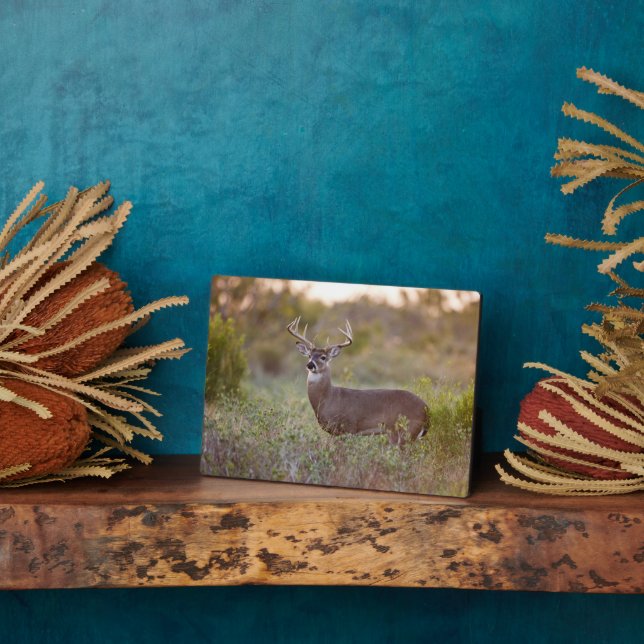 White-tailed Deer | Fall in Texas Plaque (Side)