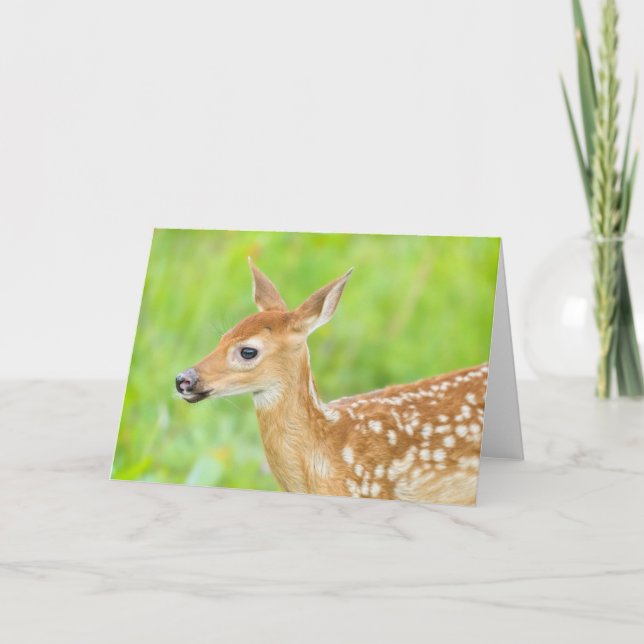 White-Tailed Deer Fawn | Minnesota Card (Front)