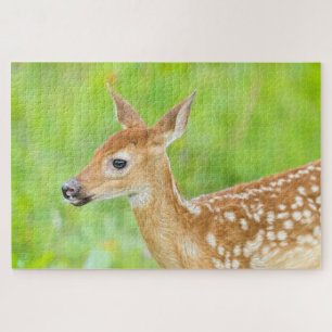 White-Tailed Deer Fawn   Minnesota Jigsaw Puzzle