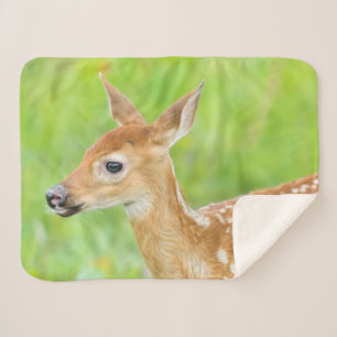 White-Tailed Deer Fawn   Minnesota Sherpa Blanket