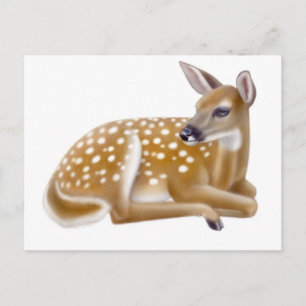 White Tailed Deer Fawn Postcard