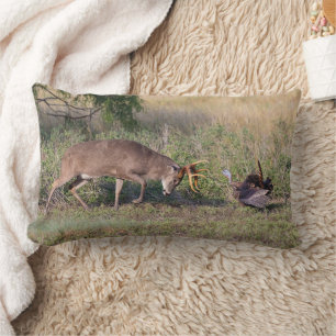 White-tailed Deer Fighting Wild Turkey Lumbar Cushion