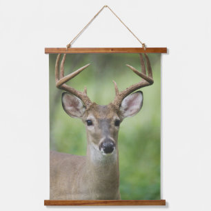 White-tailed Deer Hill Country, Texas Hanging Tapestry